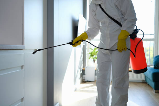 Professional Mold Removal in Park Center, CO